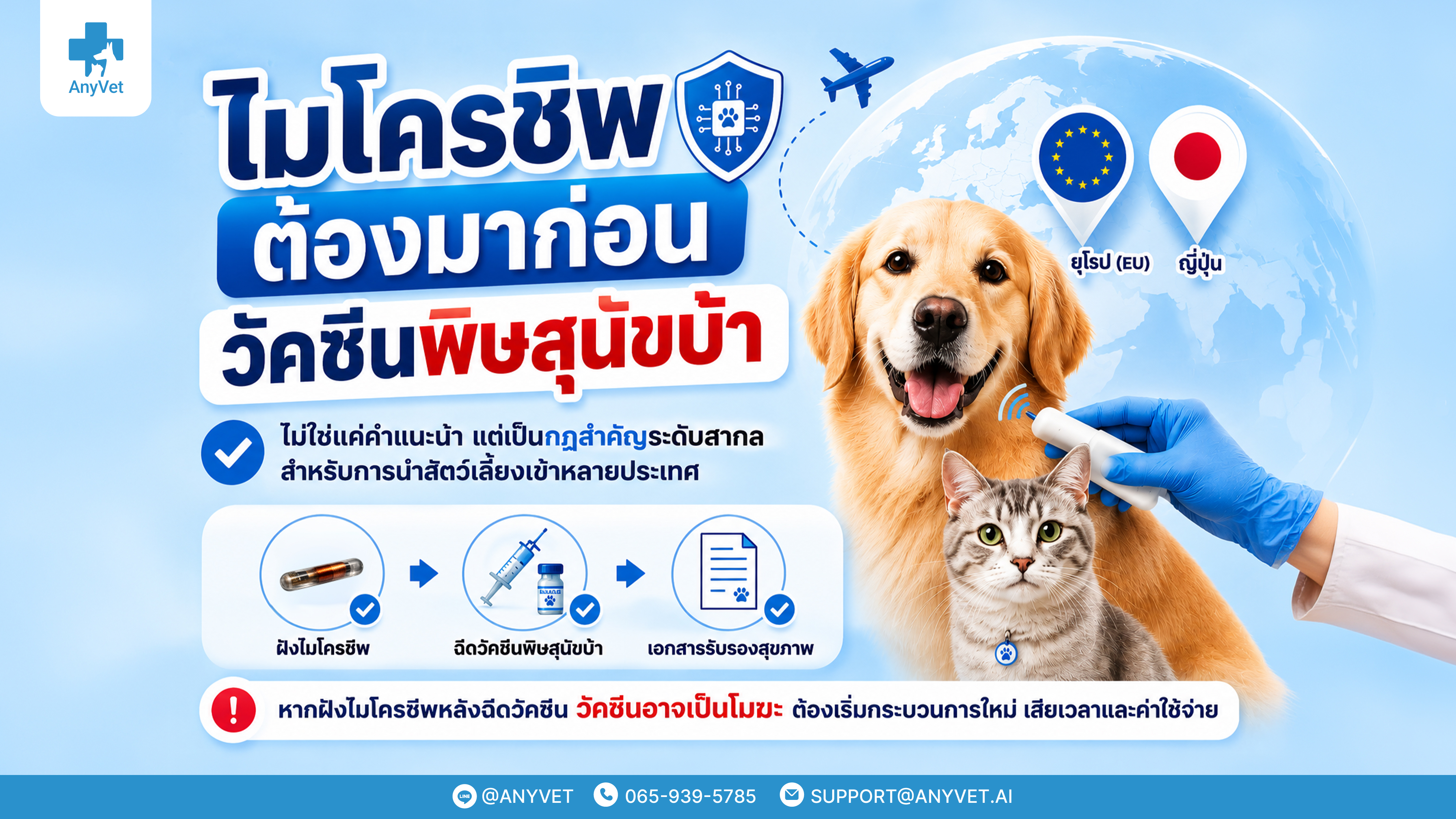 Why Must the Microchip Come Before the Rabies Vaccine? Export Rules for Pets to Europe and Japan